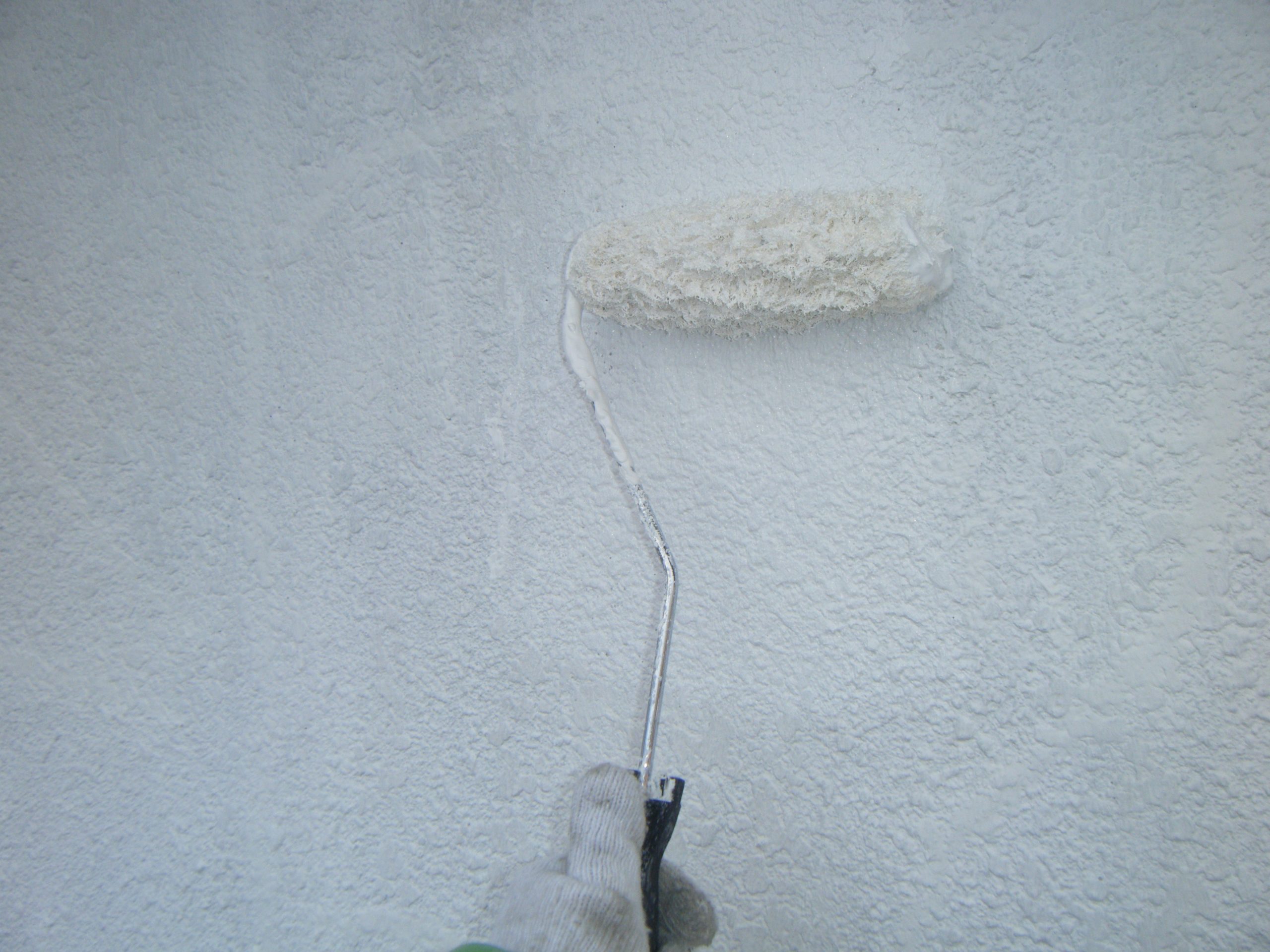 DSCF3005