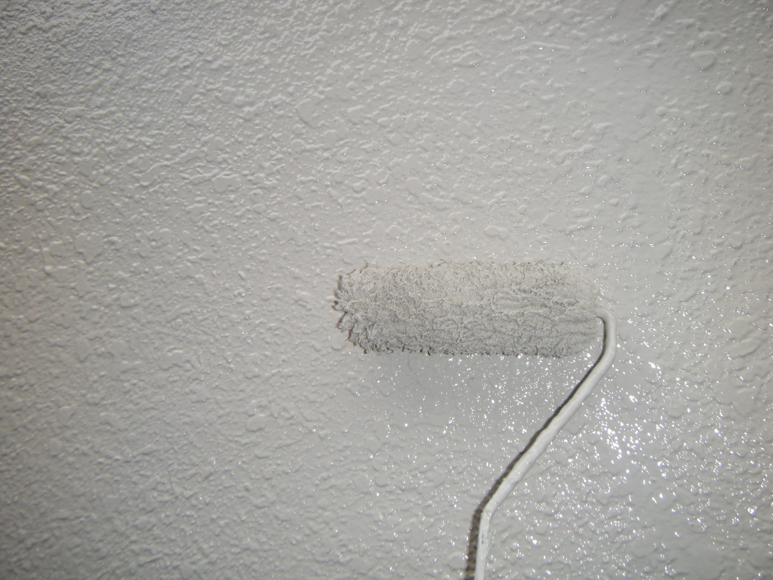 DSCF3009