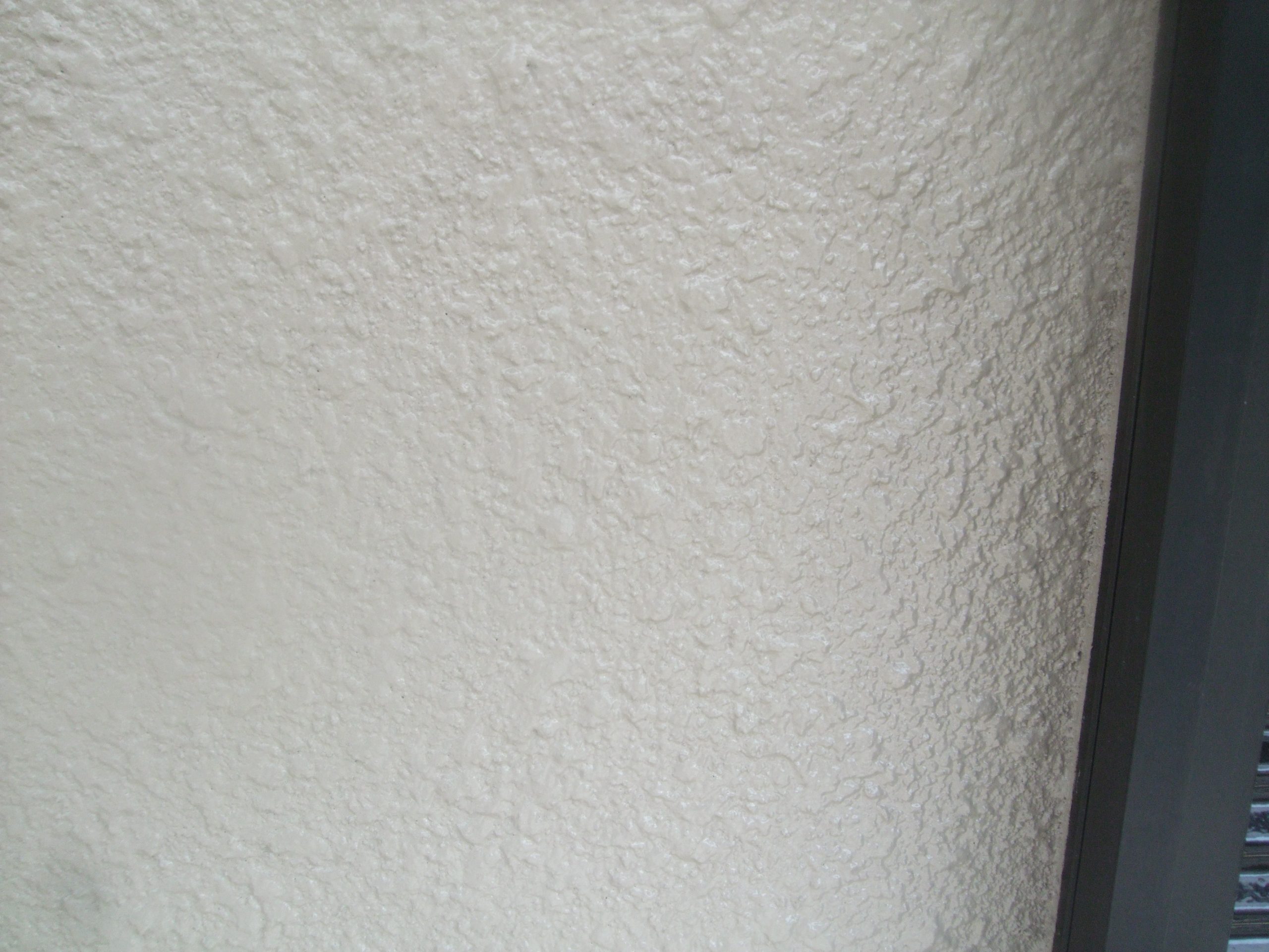 DSCF3172