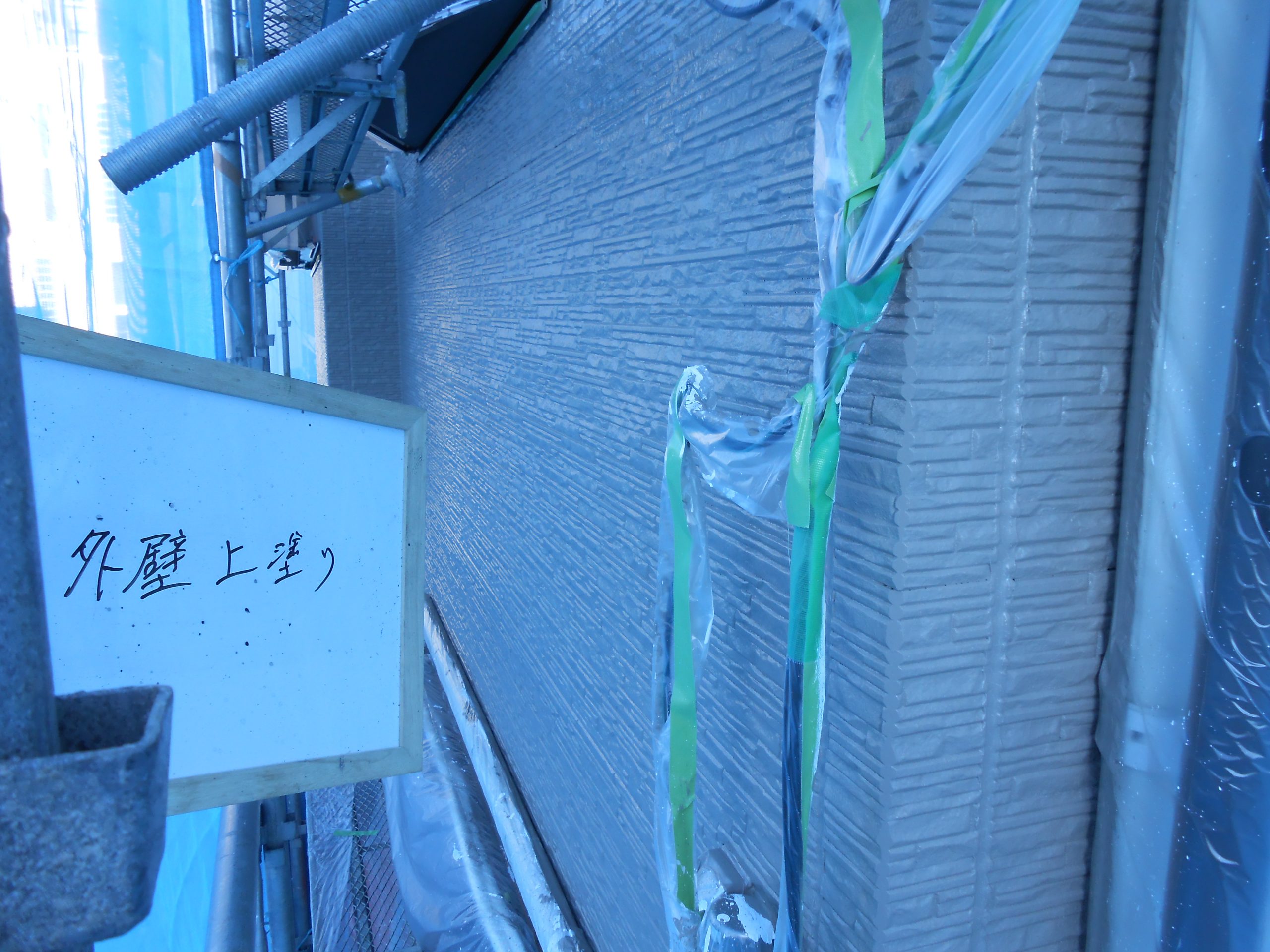 DSCN0224