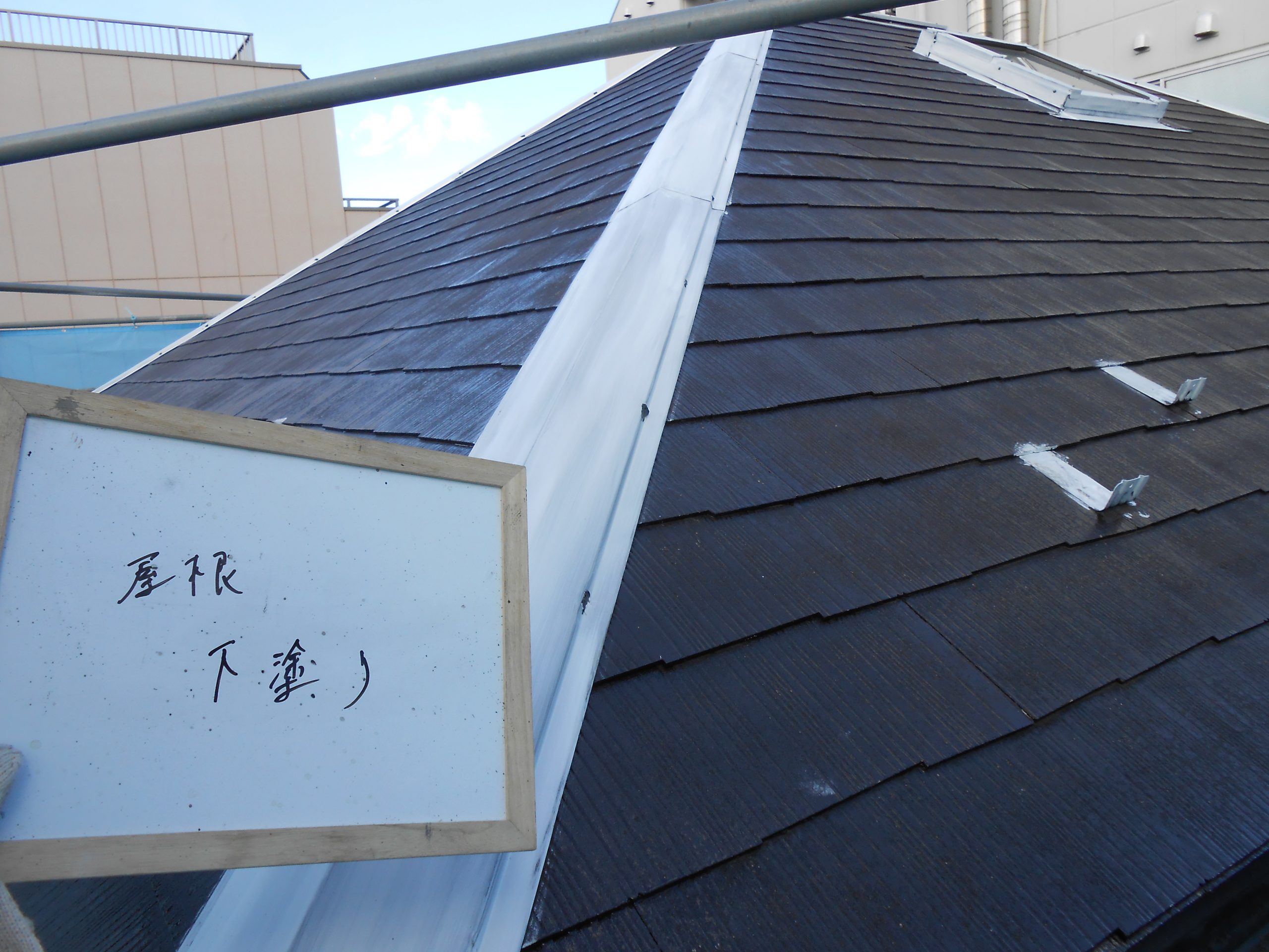 DSCN0228